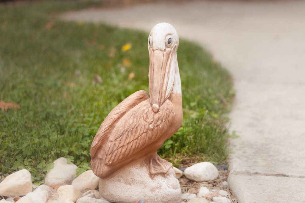 Pelican by swchappell