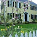 Spring Flowers in the Neighborhood by deborahsimmerman