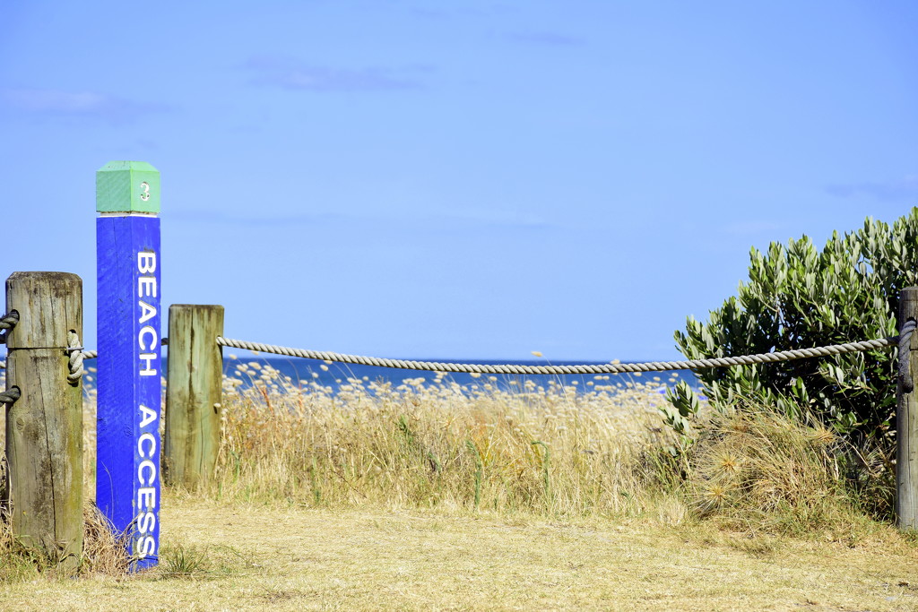 Heading for the Beach by nickspicsnz