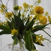 DSCN0441 Yellow flowers by marijbar