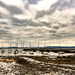 Wide view of the harbour by frequentframes