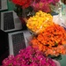 flowers we got for our administrative professionals by wiesnerbeth
