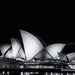 Opera House by night by nicolecampbell