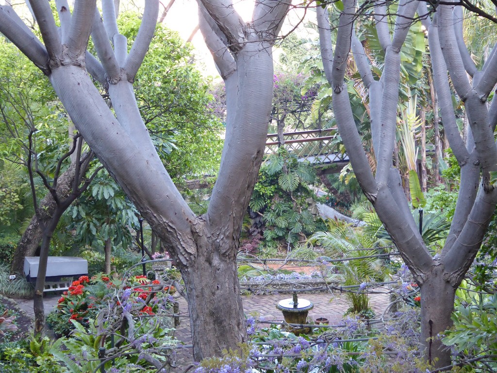 Alemeda gardens, Gibraltar by chimfa