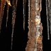 These really are "Icicle Lights"! by graceratliff