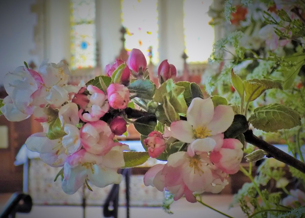 Wedding flowers by flowerfairyann