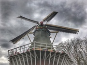 1st May 2017 - Keukenhof Windmill, Holland