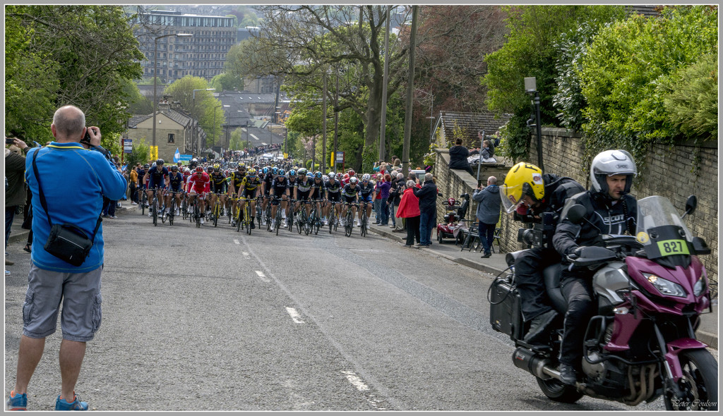 Peloton by pcoulson