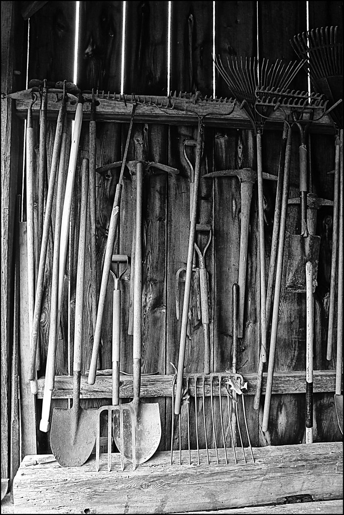 Rakes and Hoes in the Barn by olivetreeann