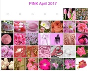 1st May 2017 - PinkApril2017 is complete