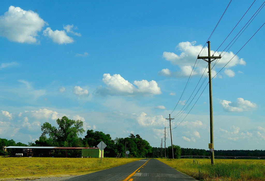 Country road, Orangeburg County, South Carolina by congaree