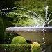 Splish Splash! by carole_sandford