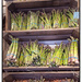 Asparagus Season! by megpicatilly