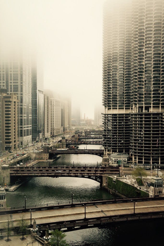 Foggy day in Chicago by pamknowler