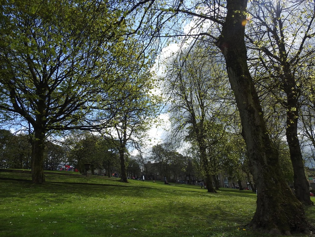 Spring in Buxton by roachling