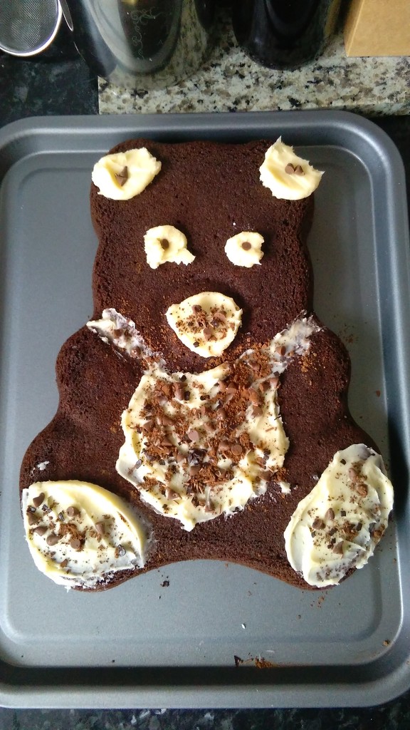 Teddy bear cake by richardcreese