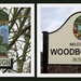 Woodborogh by oldjosh