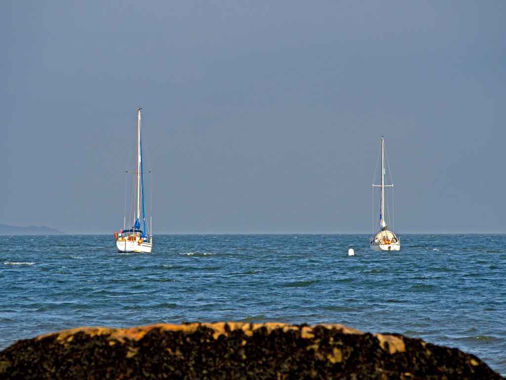 Two yachts by frequentframes