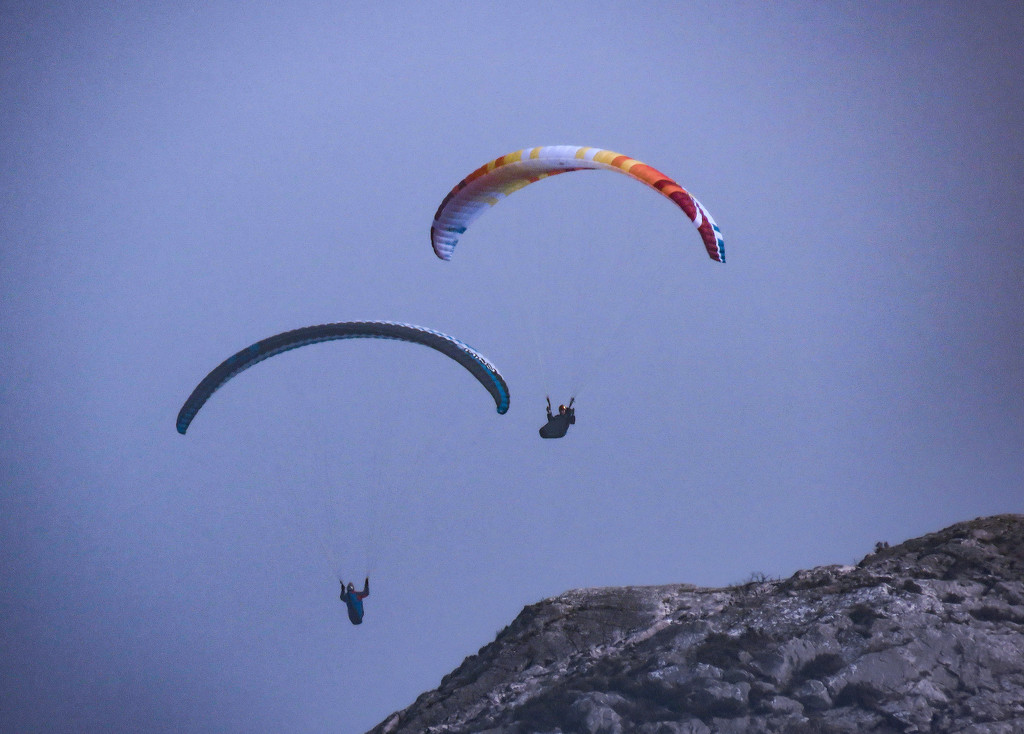 Paragliders by m2016