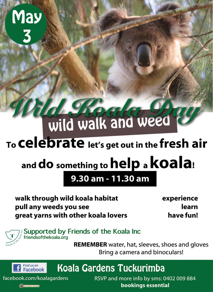 International Wild Koala Day by koalagardens