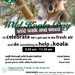 International Wild Koala Day by koalagardens