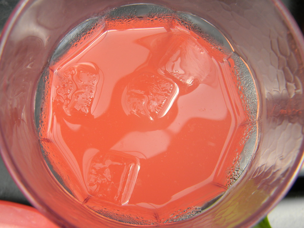 Pink Lemonade by sfeldphotos