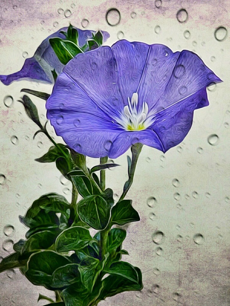 Artistic: Purple rain...... by ludwigsdiana