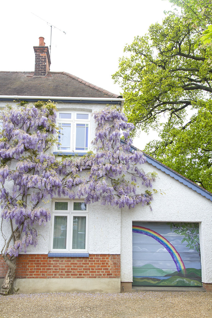 A Bit of Wisteria by browngirl