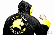 27th Dec 2010 - Italian Stallion