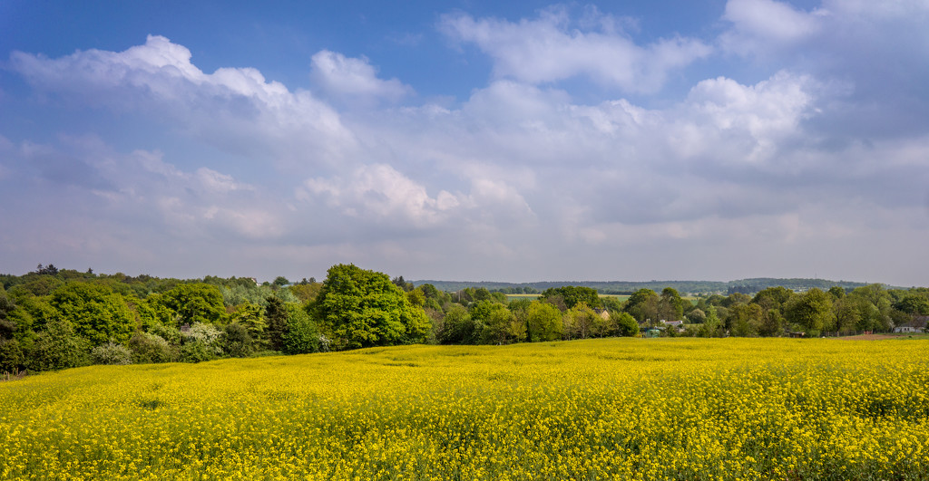 PLAY May - Sony 16mm f/2.8: Colorwheel Countryside by vignouse