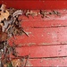 Leaves in the Bottom of a Red Wagon by olivetreeann