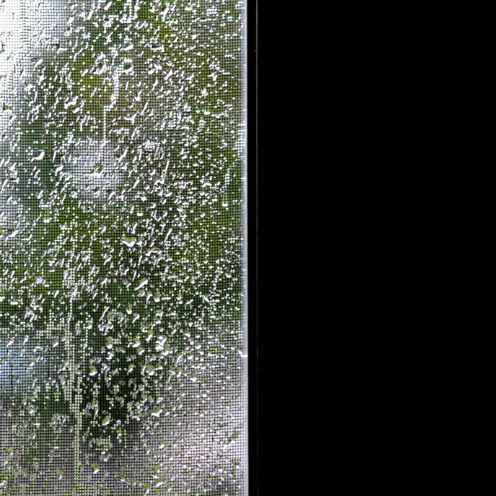 A Little Rain on My Screen by genealogygenie