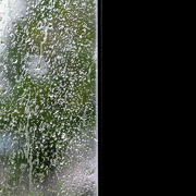 6th May 2017 - A Little Rain on My Screen