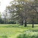 Eades Meadow by daffodill