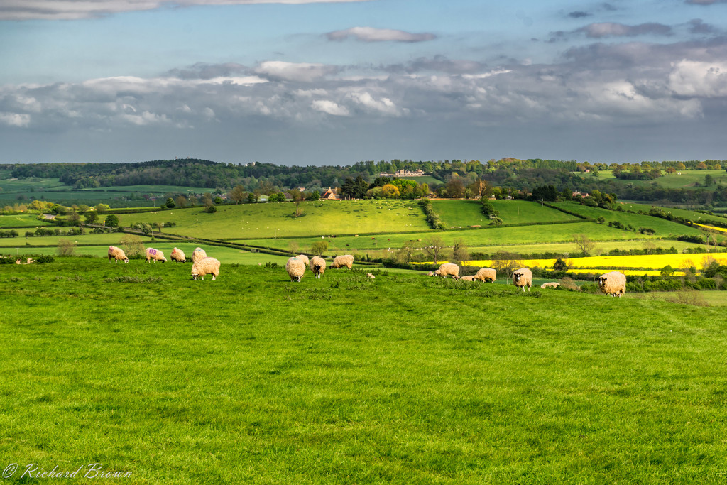 Across the shires by rjb71