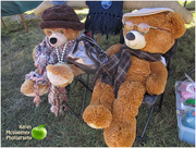 6th May 2017 - Teddy bears picnic 