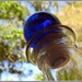 blue bottletop by robz