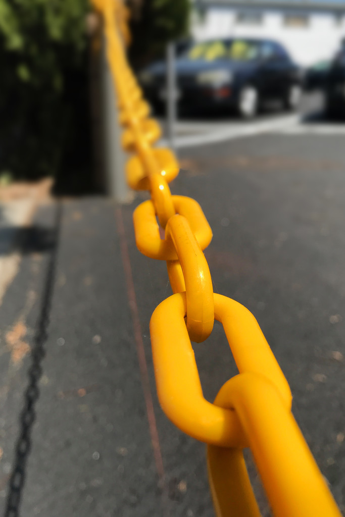 Yellow Chain by jaybutterfield