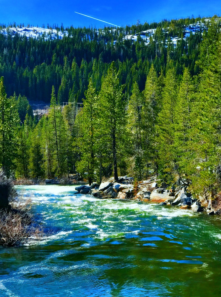 Tahoe Basin by gardenfolk