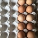 Eggs! by cookingkaren