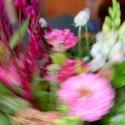 6th May 2017 - ICM Flowers