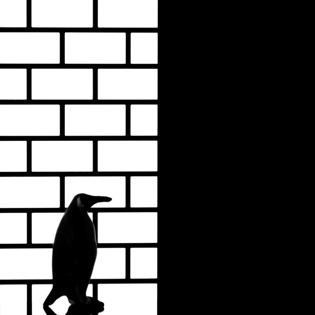 penguin and the wall by northy