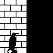 5th May 2017 - penguin and the wall