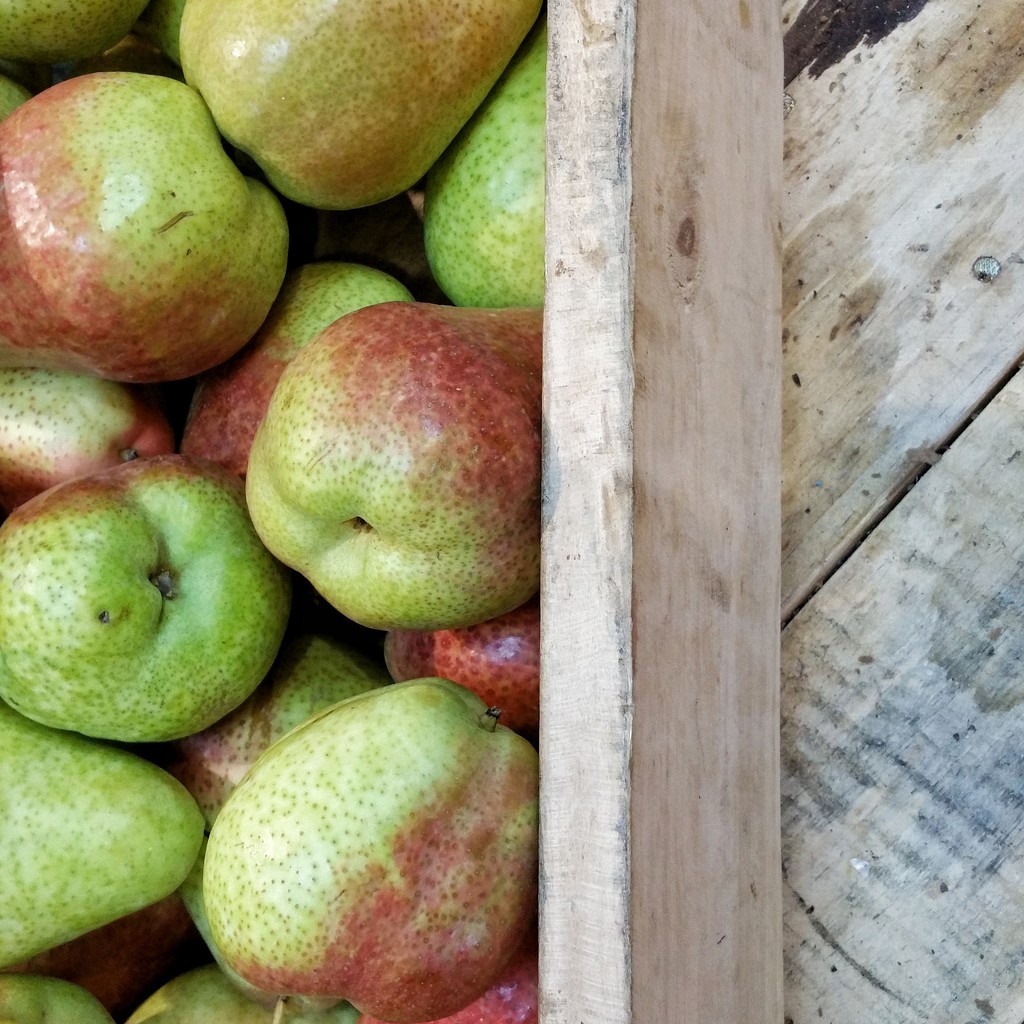 Pears by salza