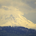 Mount Rainier View by nanderson