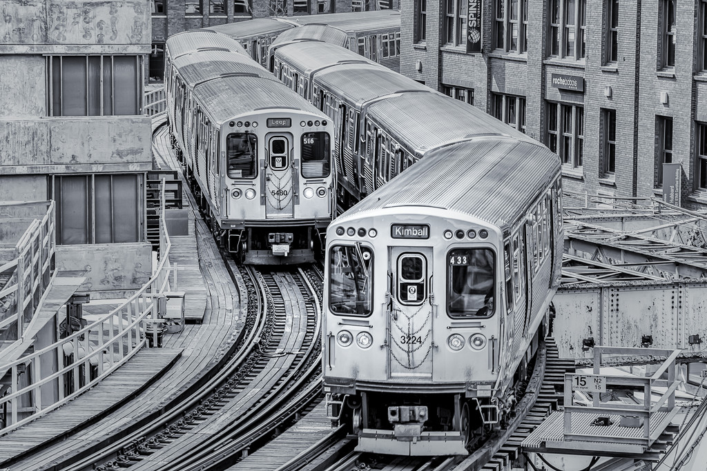 The "L" trains by pamknowler