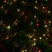 Christmas Lights by kerristephens