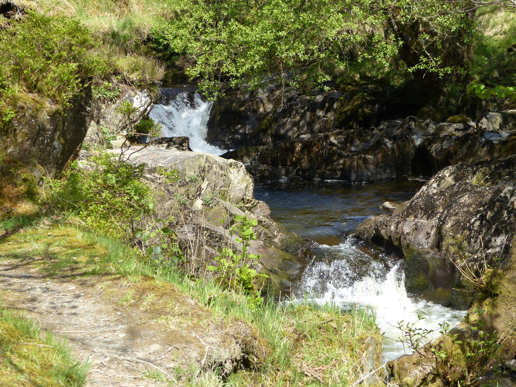 The River Irfon and Grey Wagtail Nest Site by susiemc
