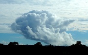 9th May 2017 - Couldn't help but notice this bellowing cloud when travelling to Kerikeri this morning