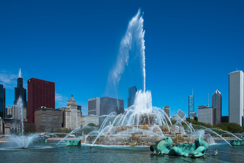 Buckingham Fountain is Up and Running! by taffy